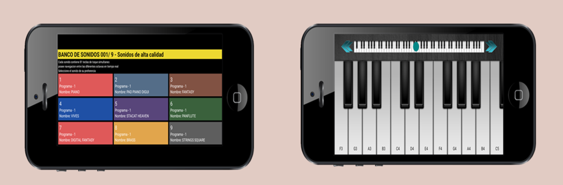 Organo Digital Piano