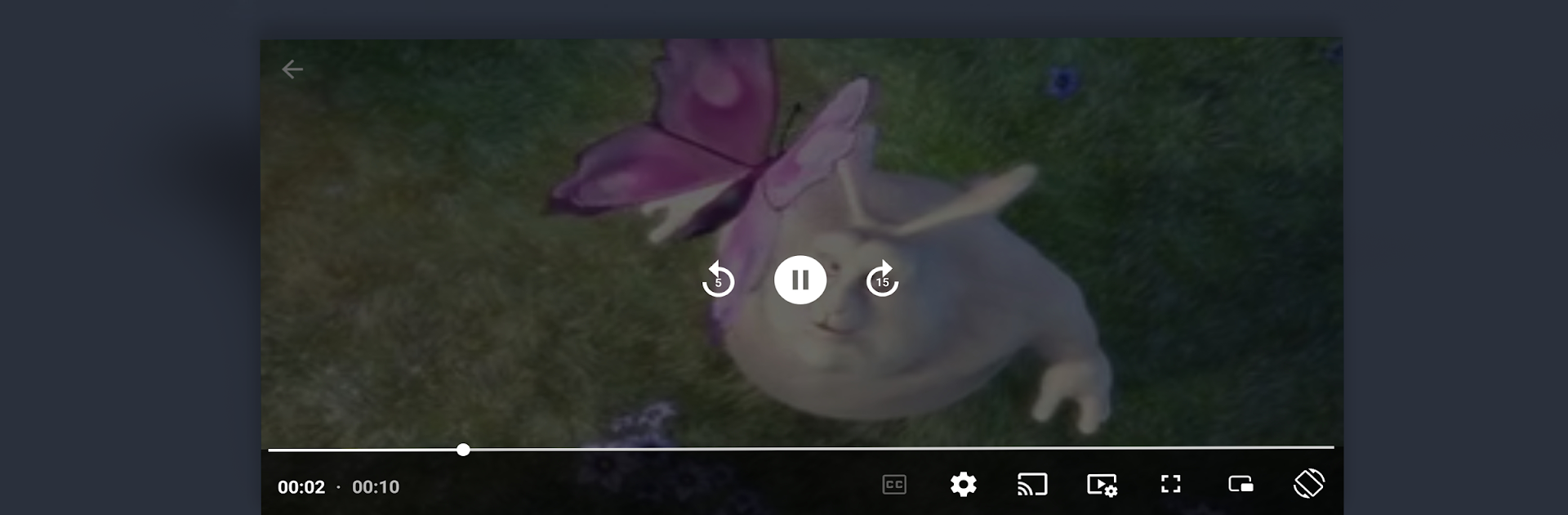 MV Player