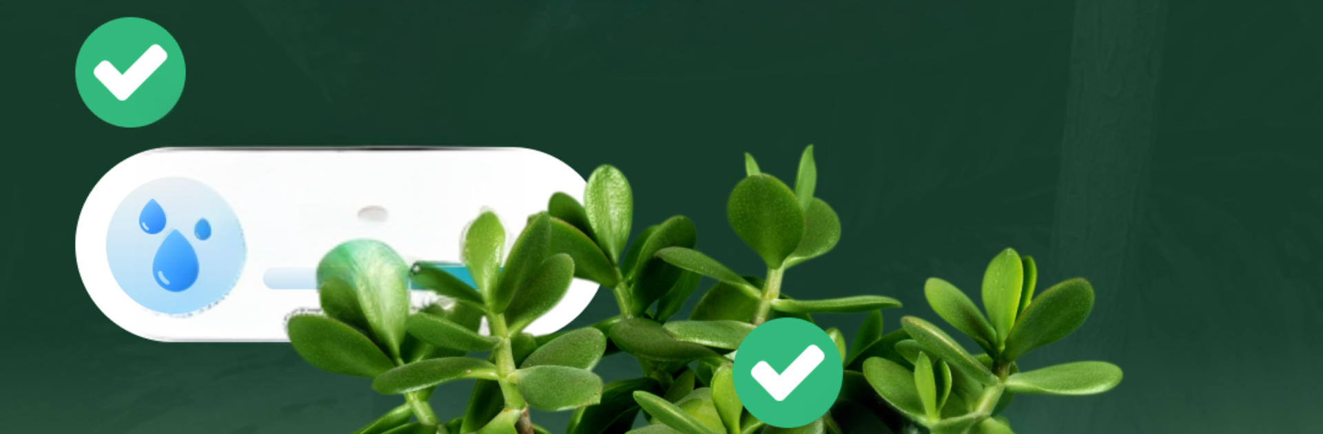 Garden Genie: Plant Identifier