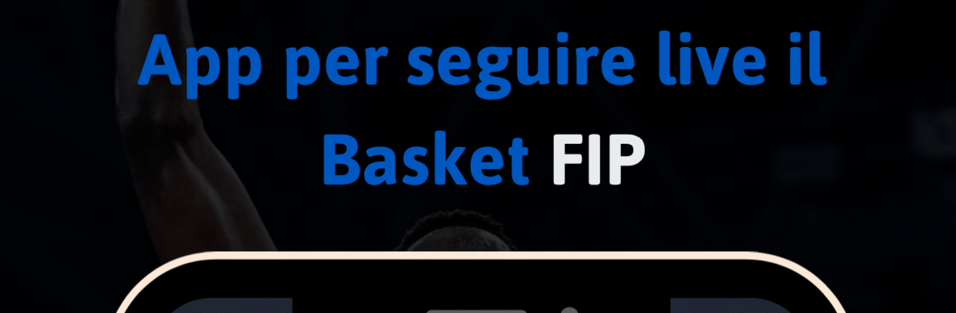 FIP Stats
