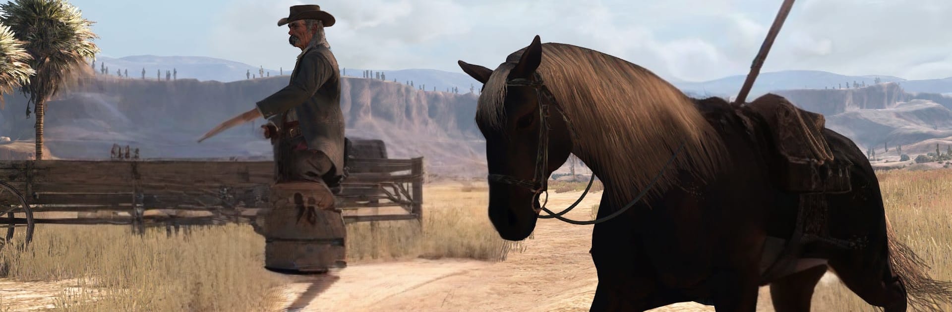 Red Dead Redemption NETFLIX