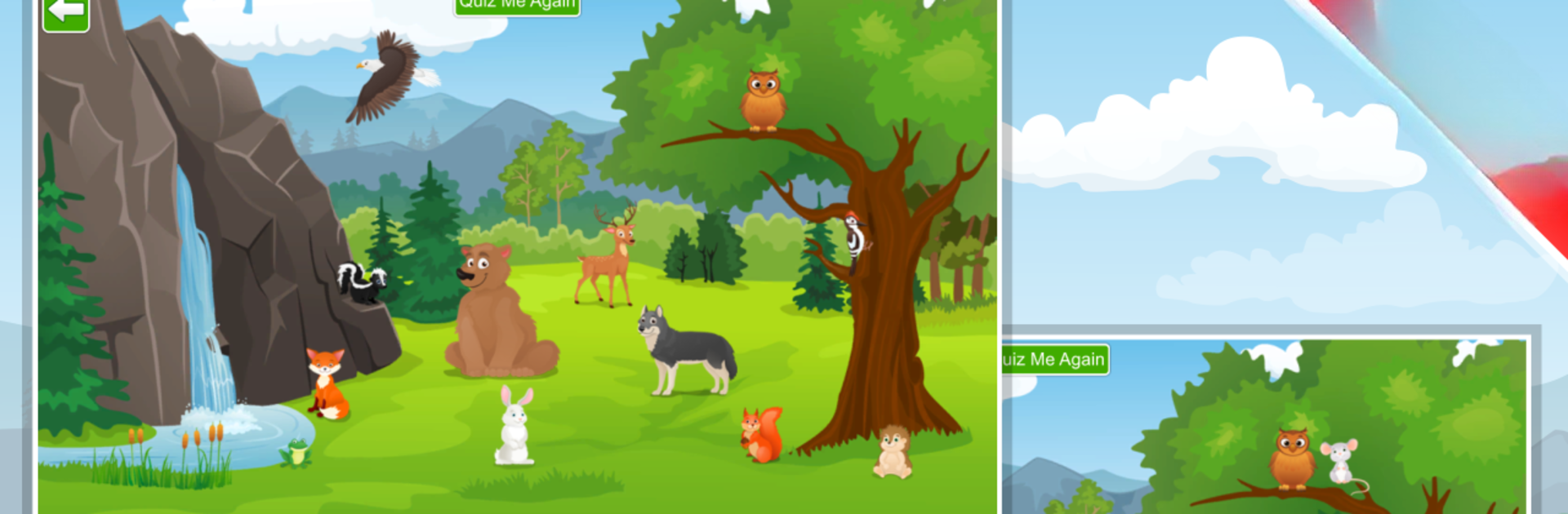 Kids Learn about  Animals