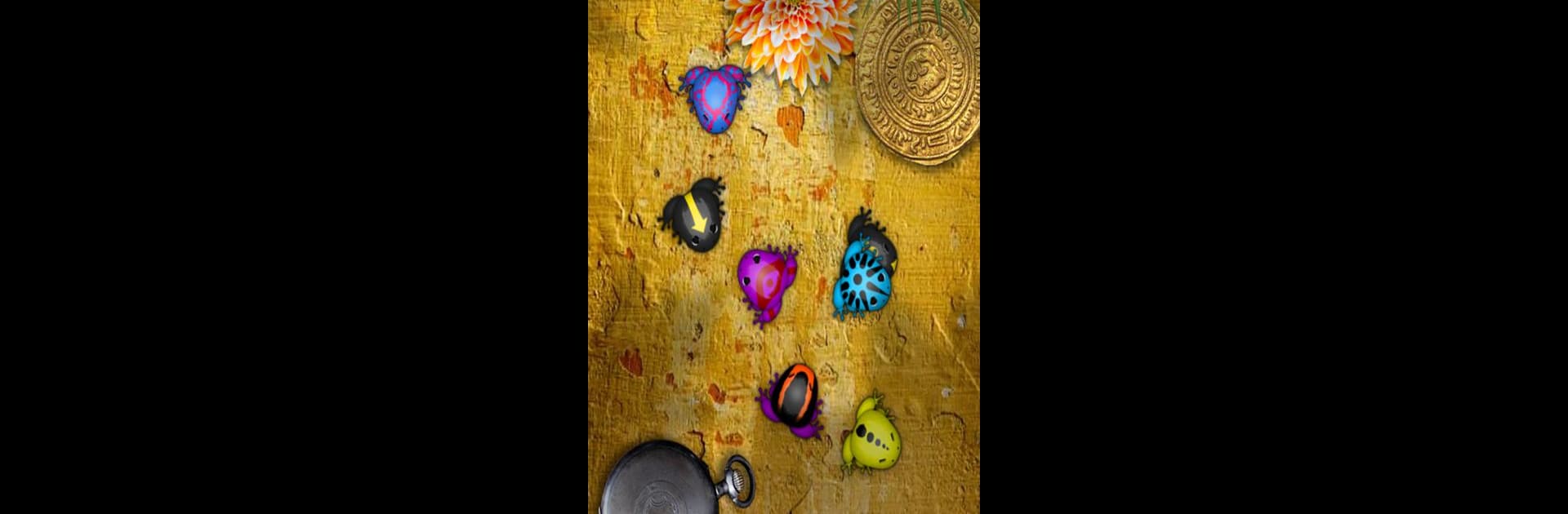 Pocket Frogs