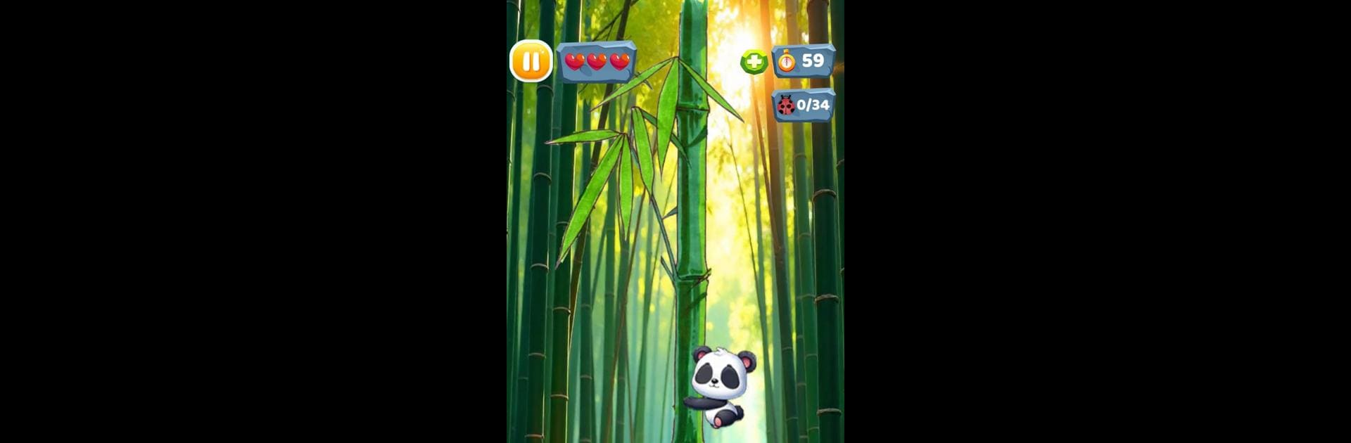 Panda and crazy insects