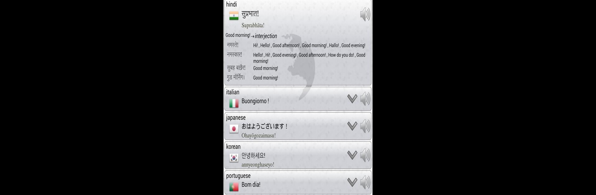 Q Multi Language Translator