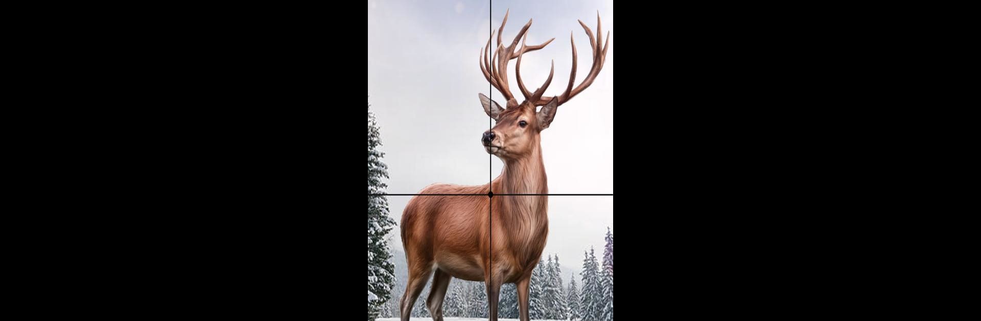 Animal Hunter Shooting Games