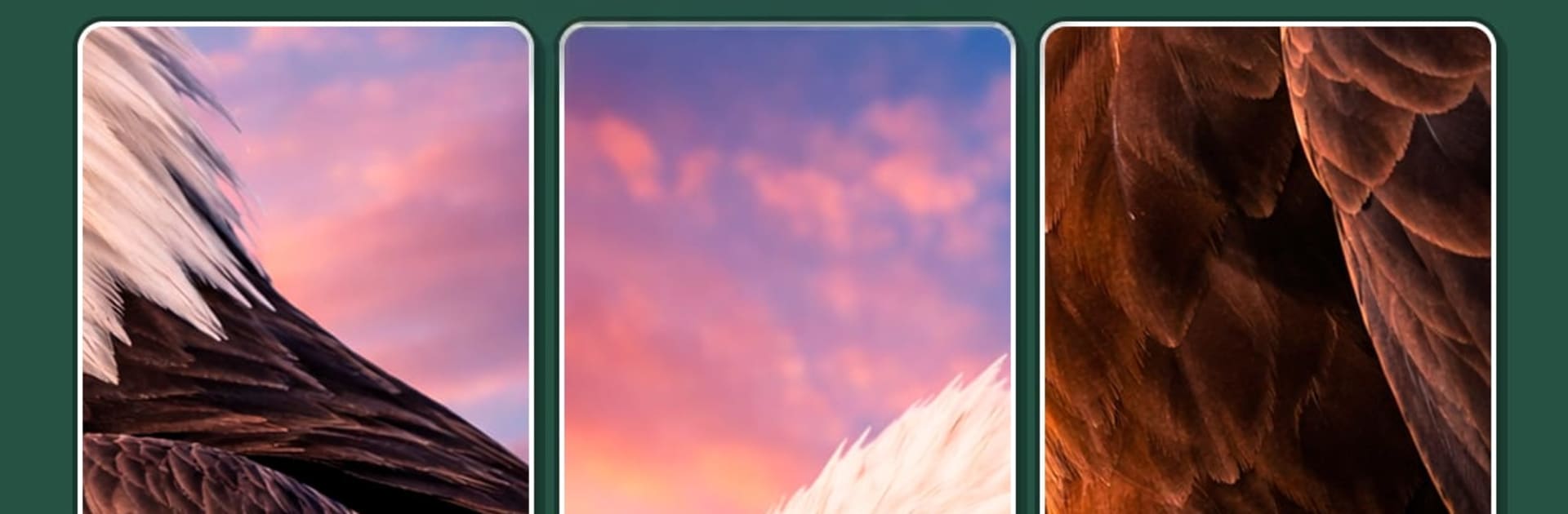 Cardscapes™: Jigsaw Puzzle