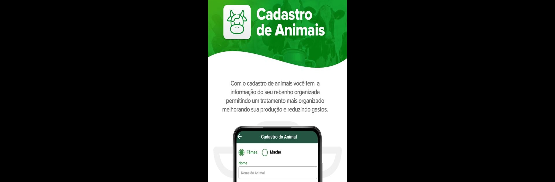 Ordenha Fácil