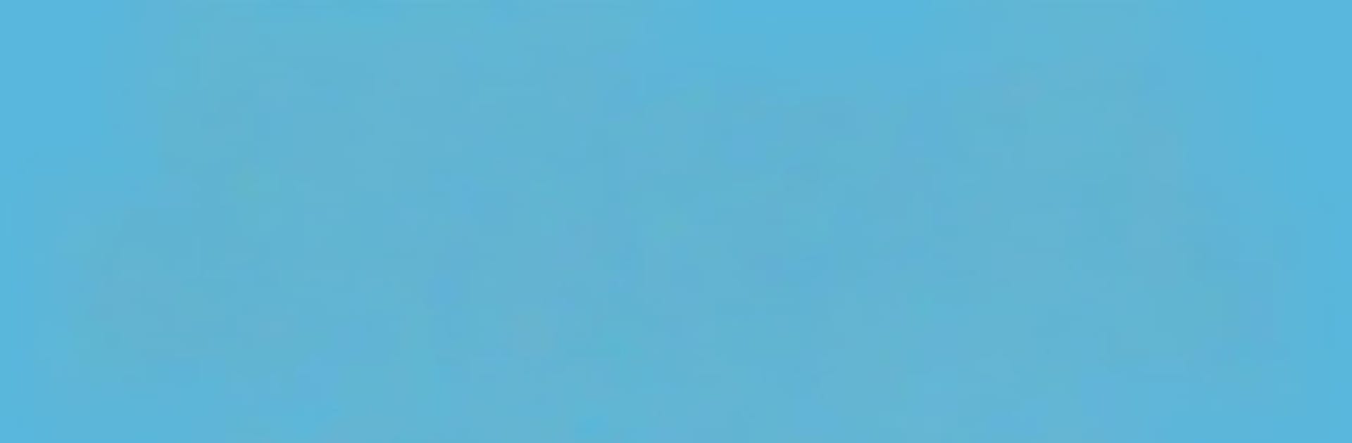 PING: Network Tool (ICMP)