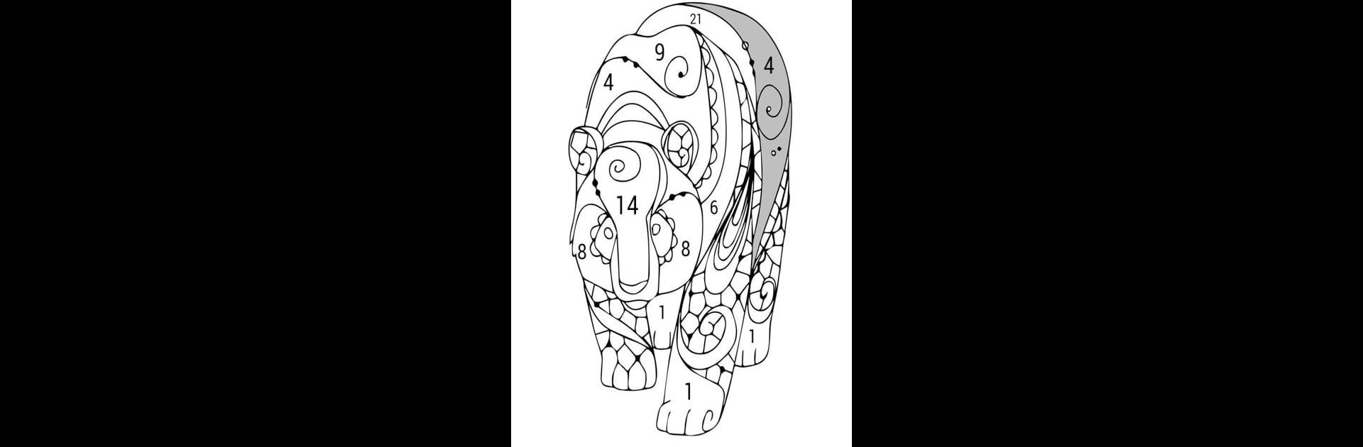 Paint Color - Paint color by number, coloring book