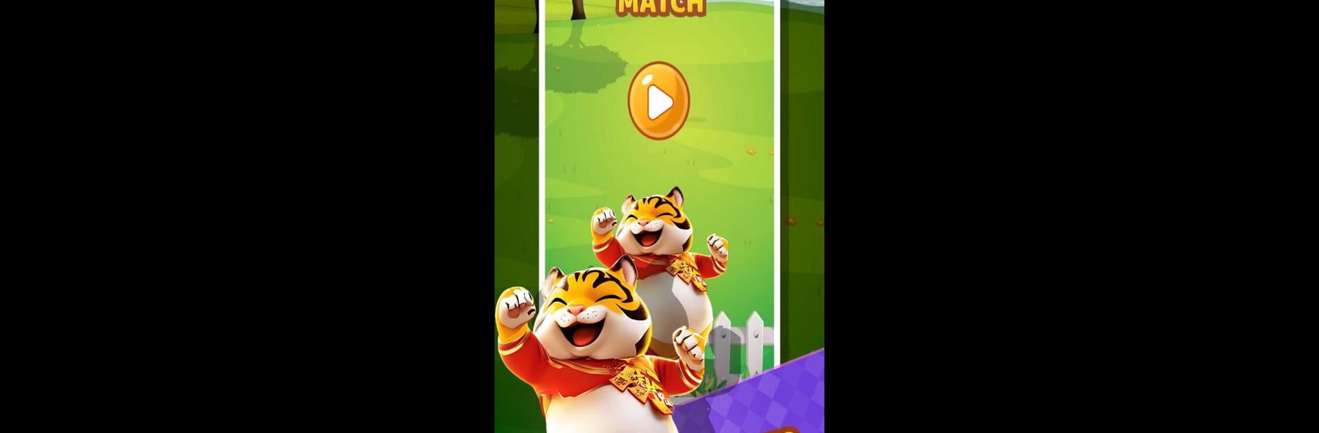 Tiger Blast Match
