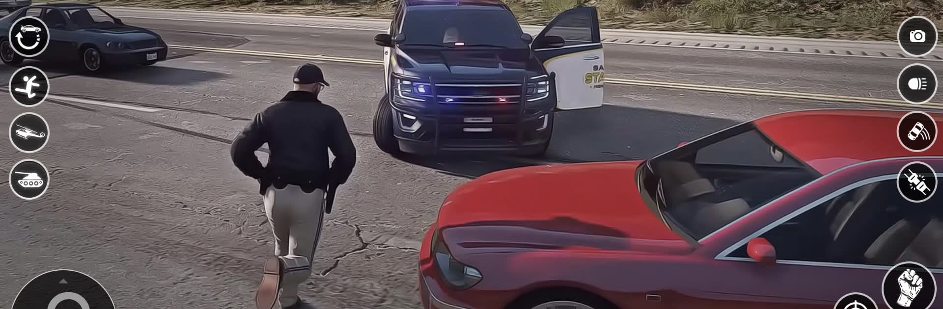 игра погоня за полицейскими