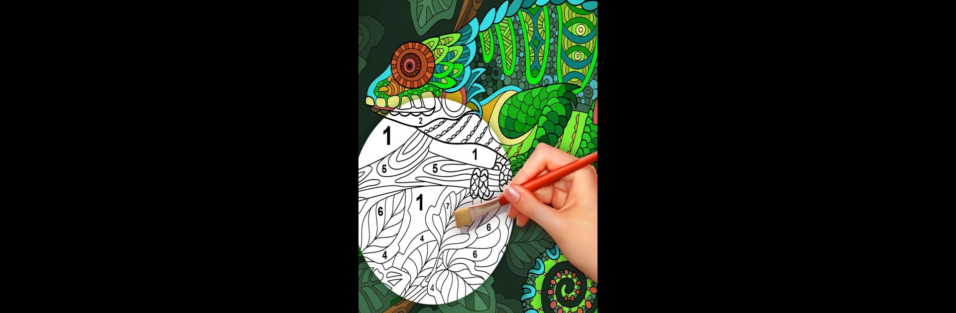 Color By Number For Adults