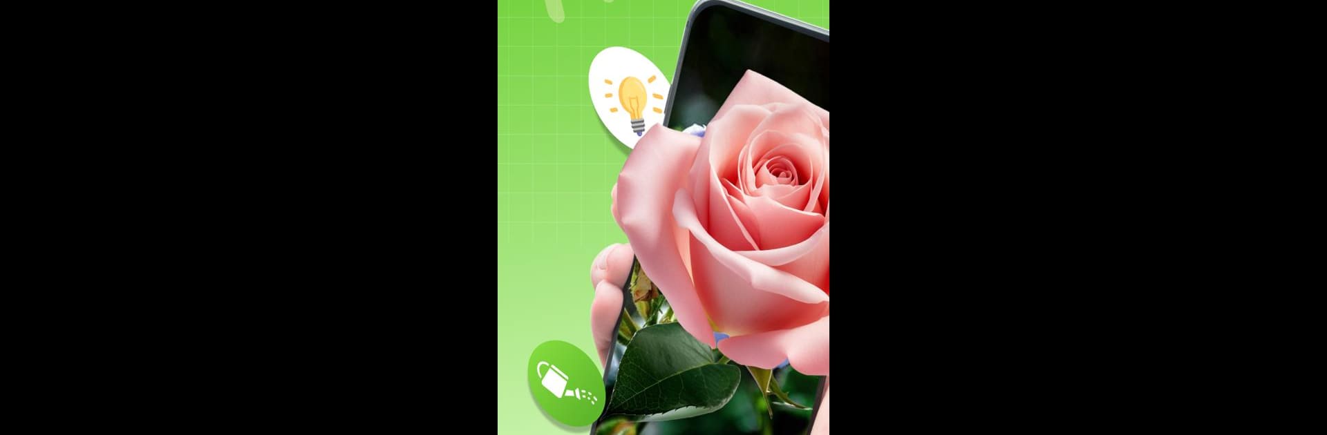 Plant Identifier Scanner