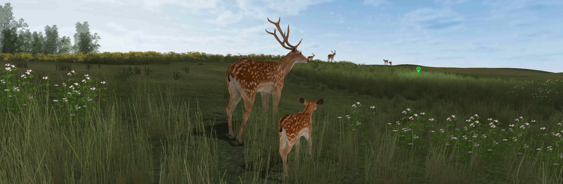Life Of Deer Remastered