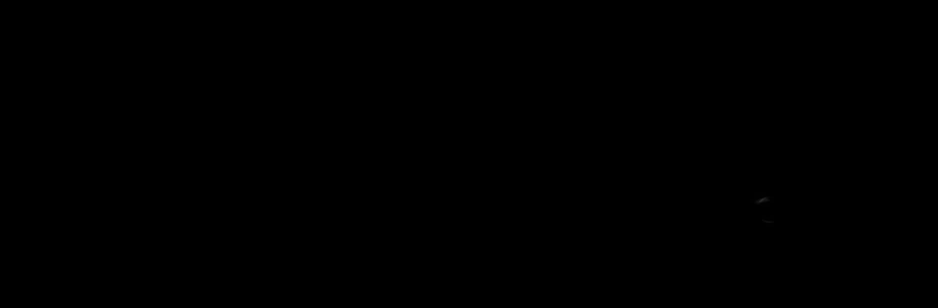 PrimeShots™