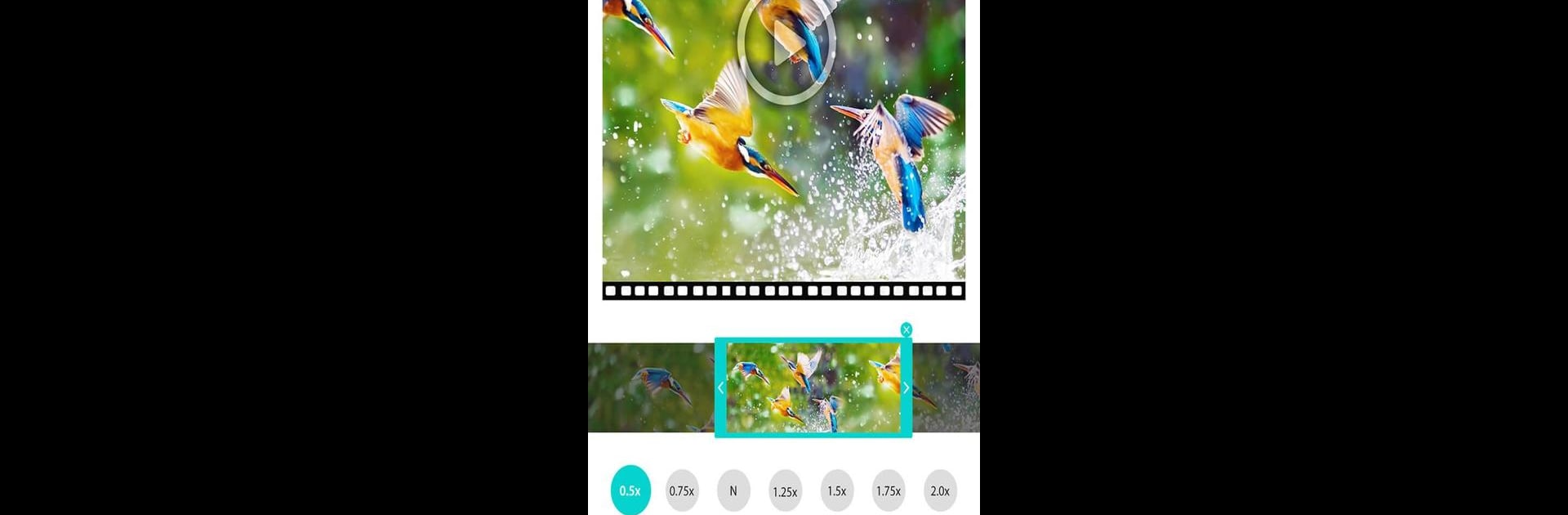 Video Speed Changer: SlowMo