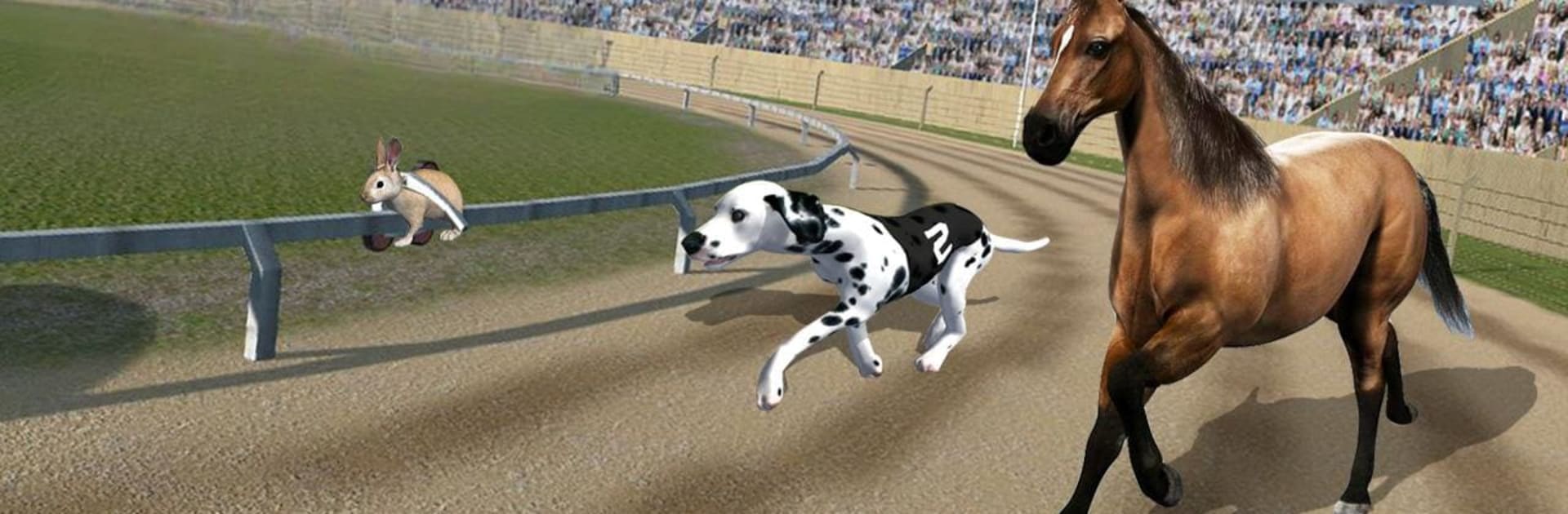 Dog Racing