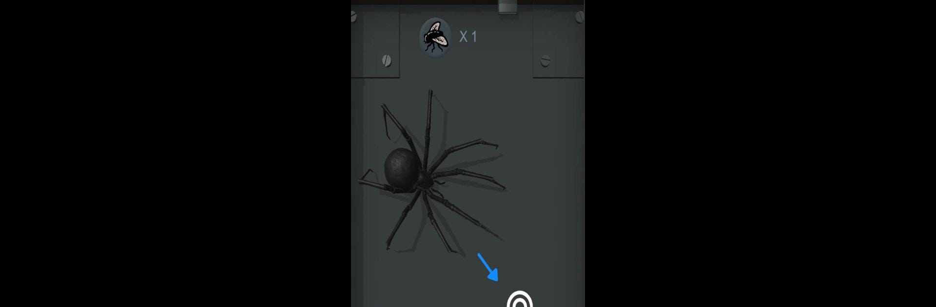 Spider Pet - Creepy Widow