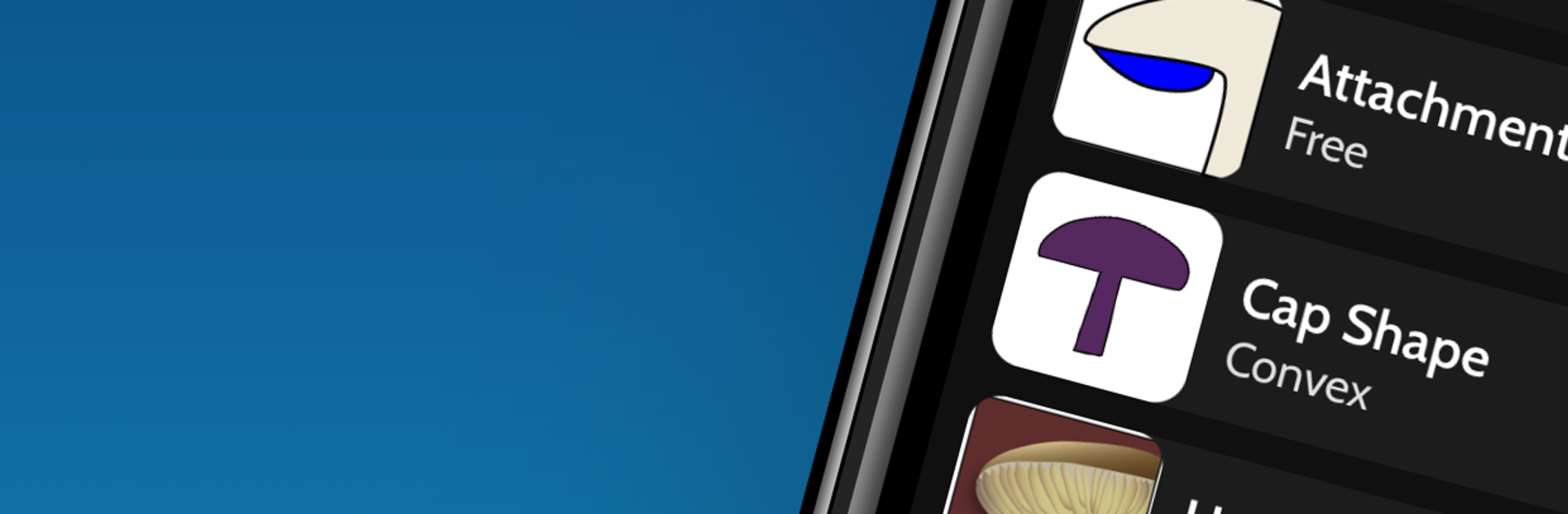 ShroomID - Identify Mushrooms!