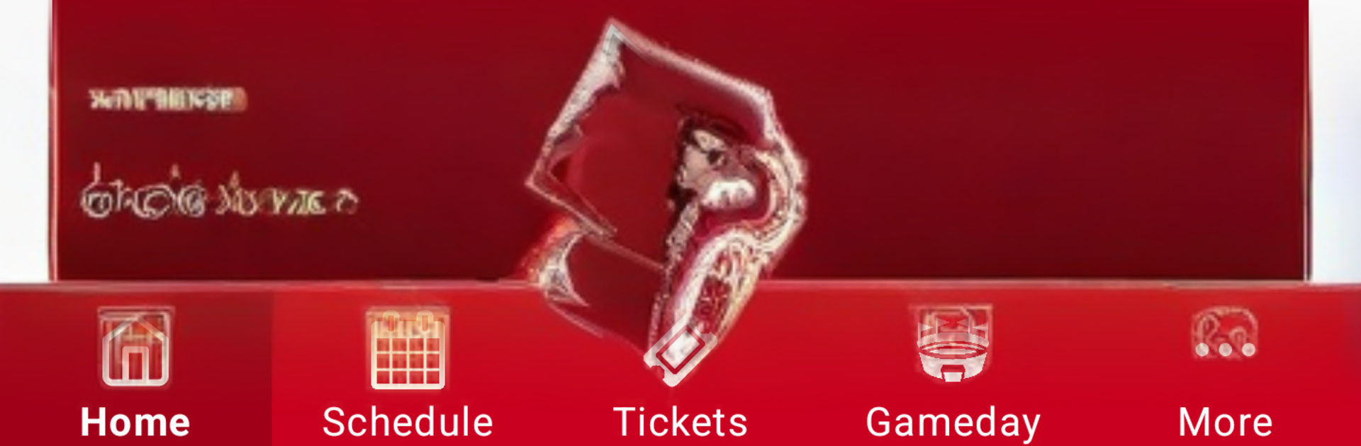 Louisville Cardinals