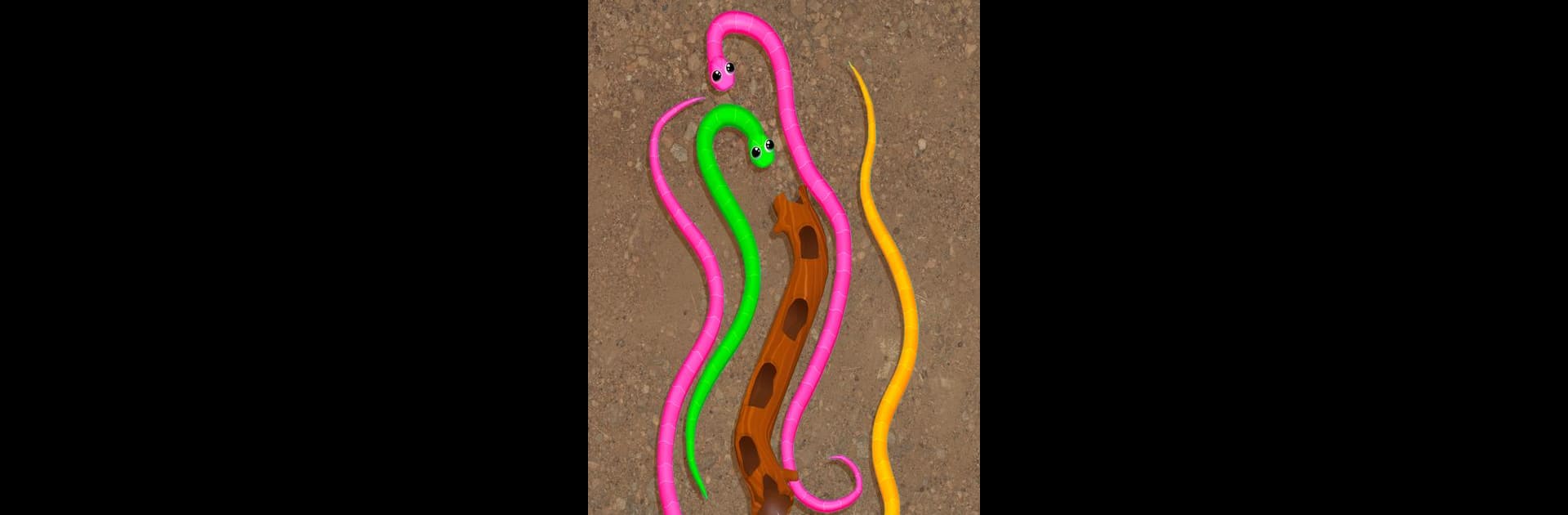 Snake Knot: Sort Puzzle Game