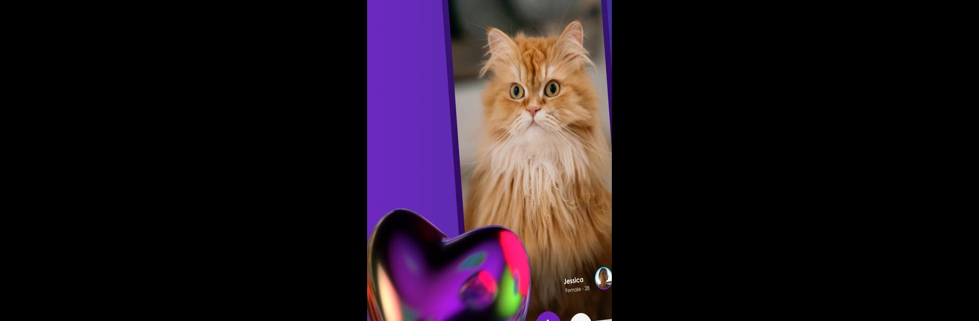 Sniffer : Pet, Friends, Chat