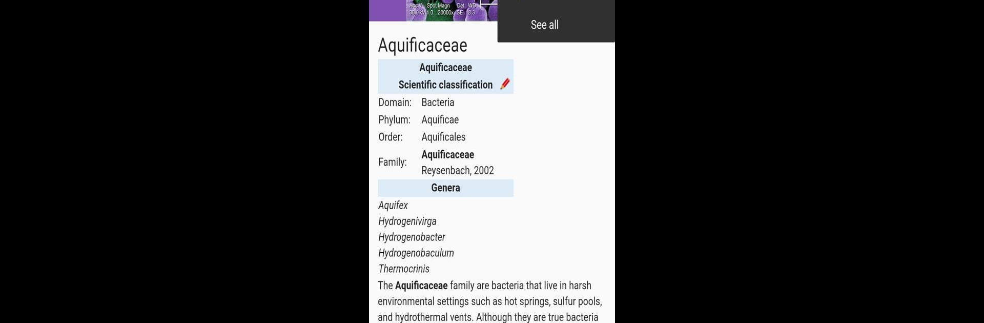 Bacteria: Types, Infections