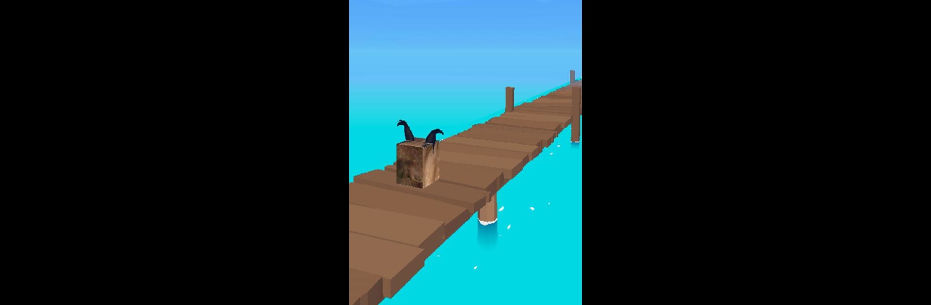 Floppa Run!