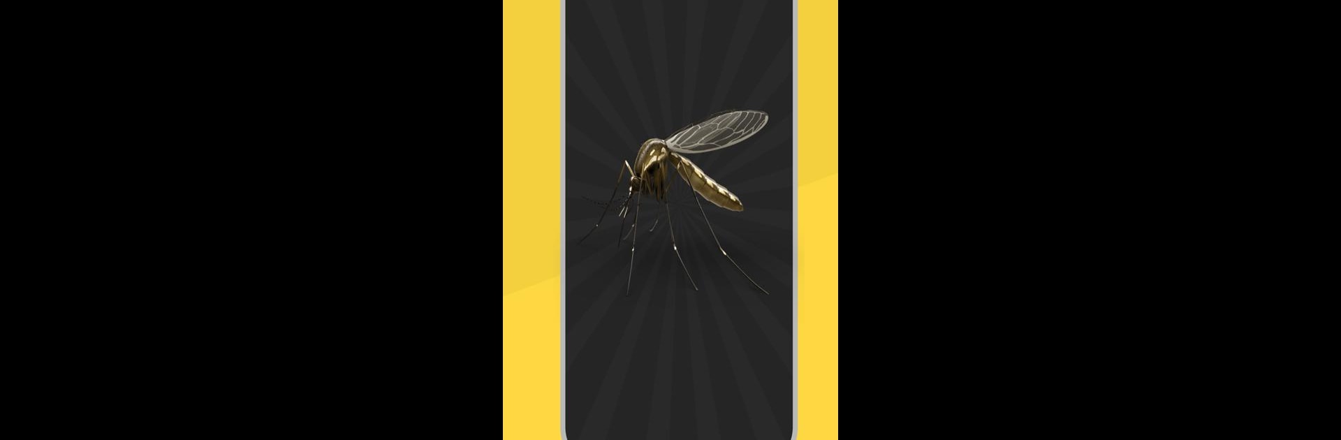 Mosquito Sound