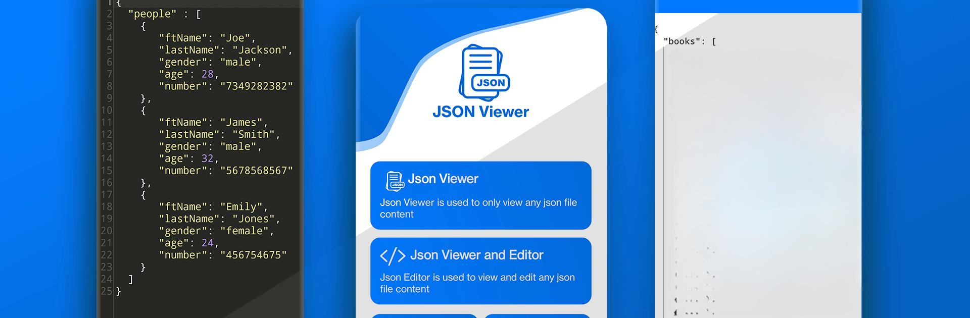JSON Viewer: JSON Reader