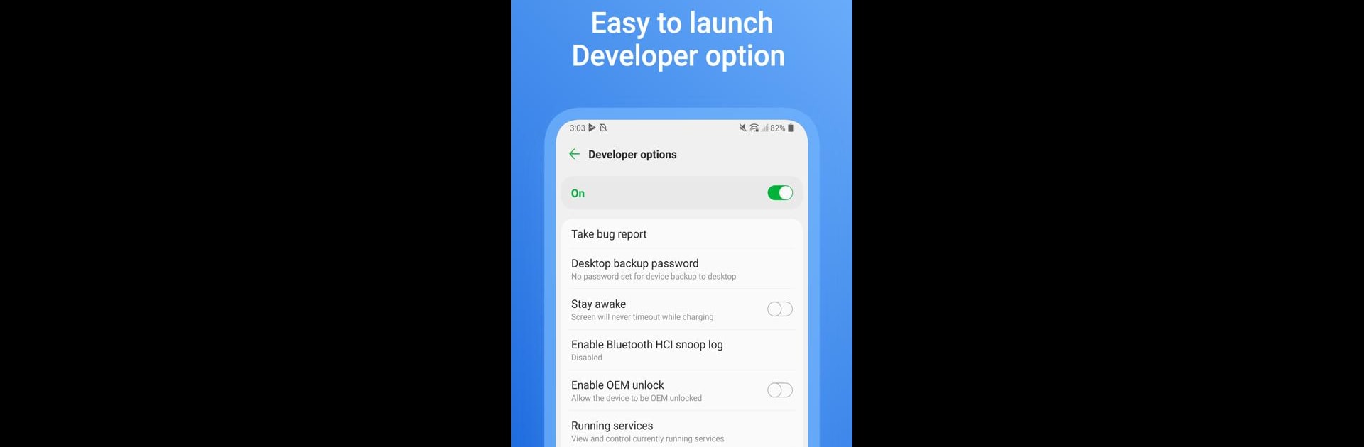 Developer Option