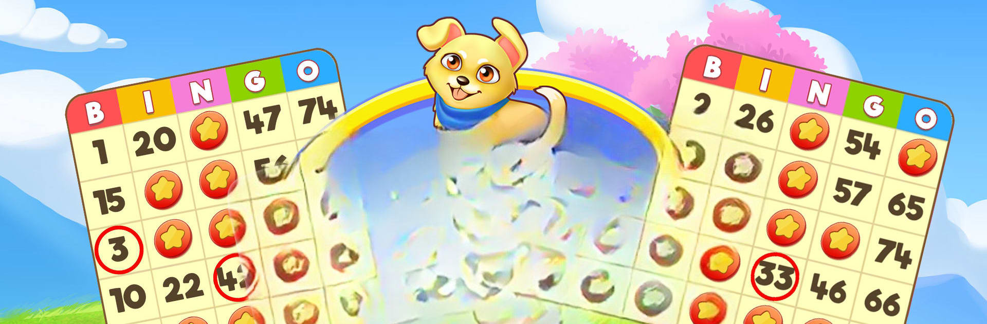 Bingo:  Free the Pets