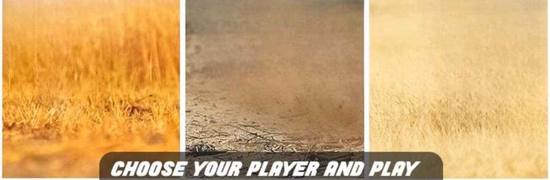 Savanna Simulator: Wild Animal Games