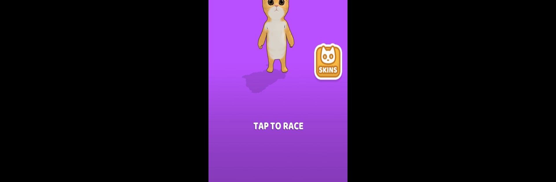 El Gato Game - Cat Race