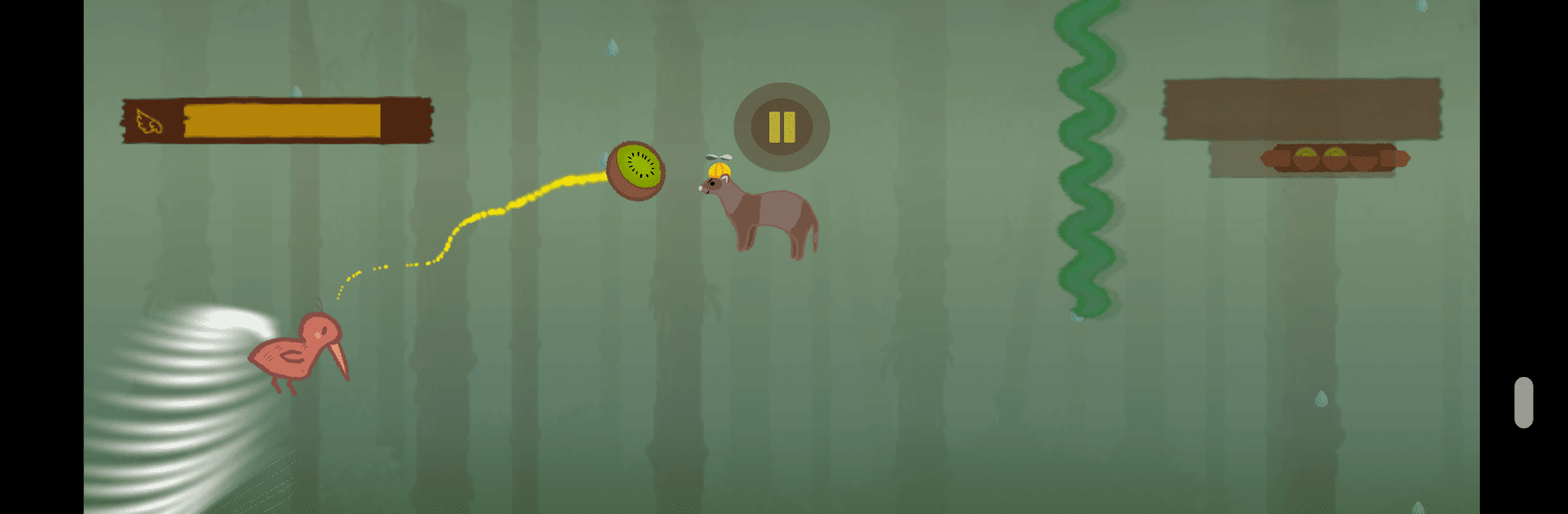 Kiwi