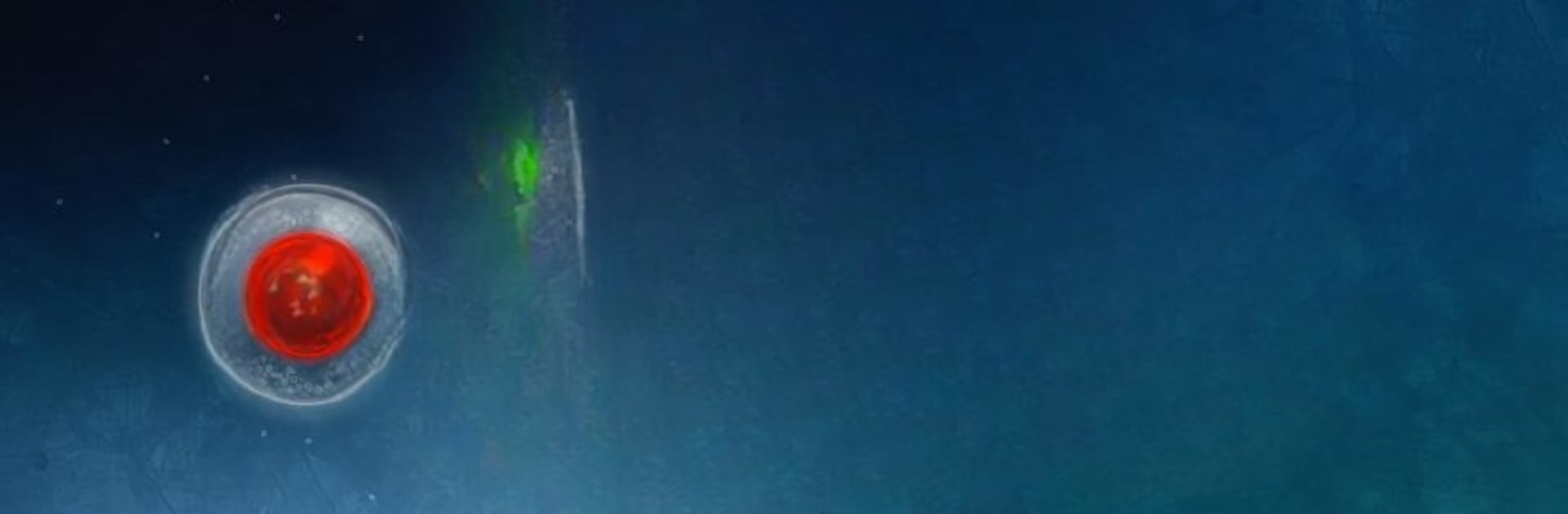 Biotix: Phage Genesis