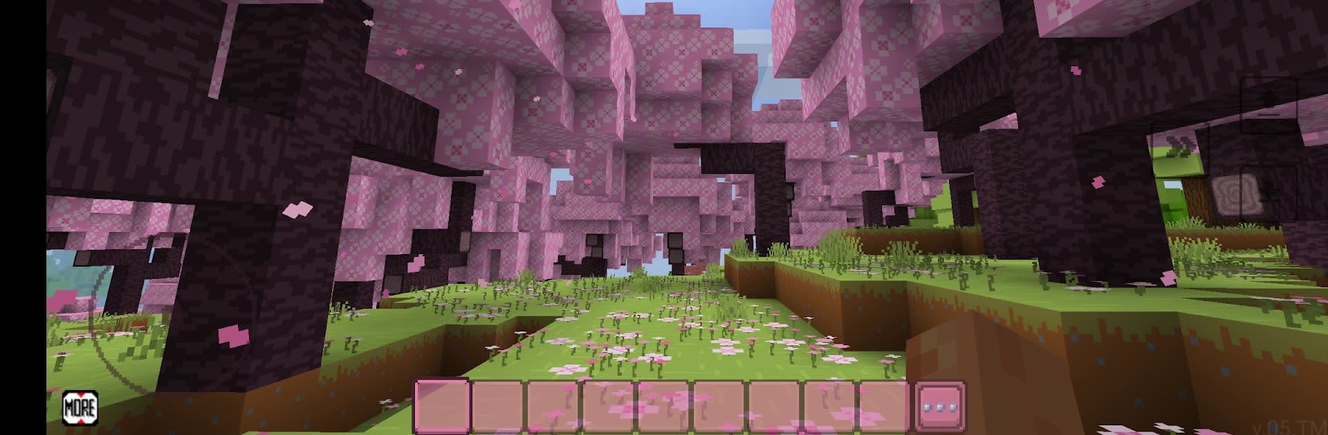 MineTown