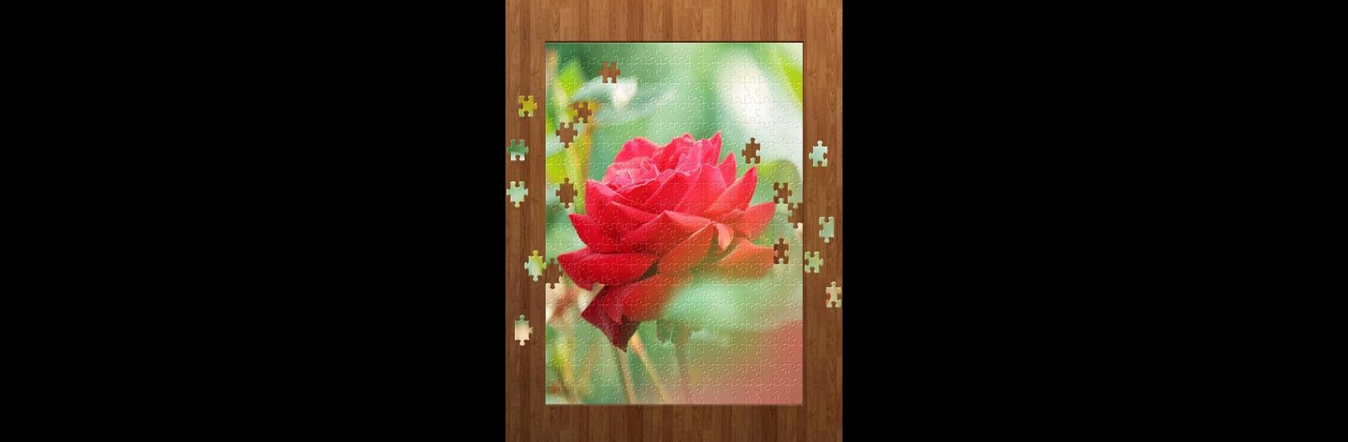 Flower Jigsaw Puzzles