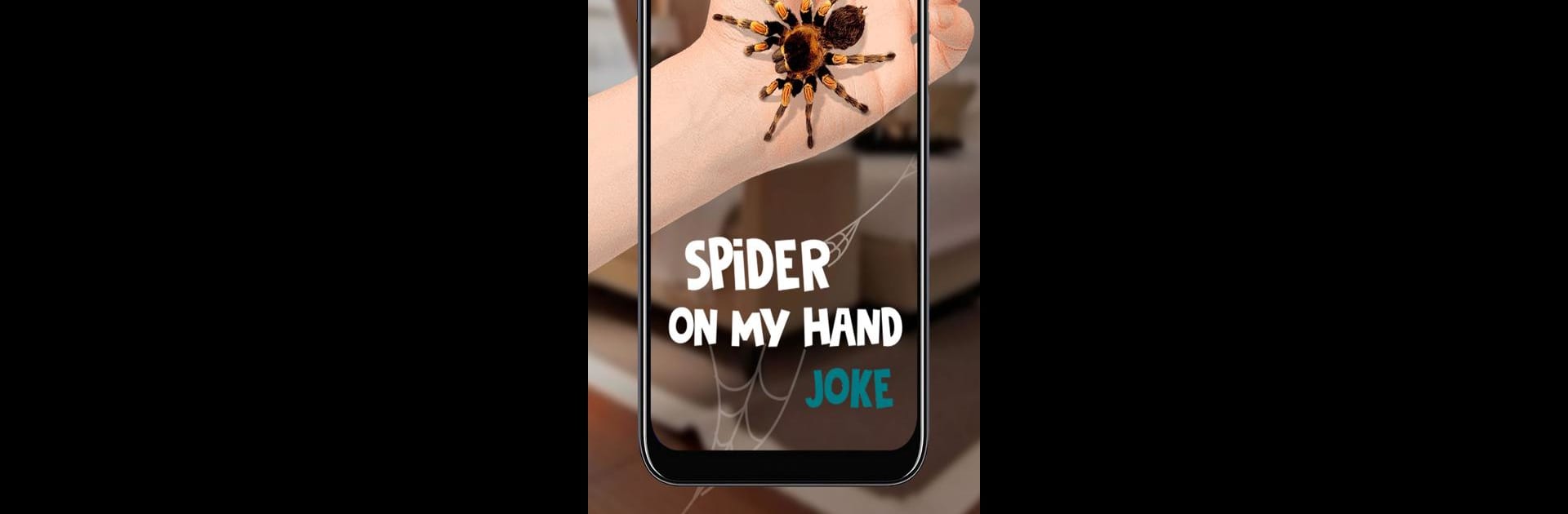Spider on My Hand Joke