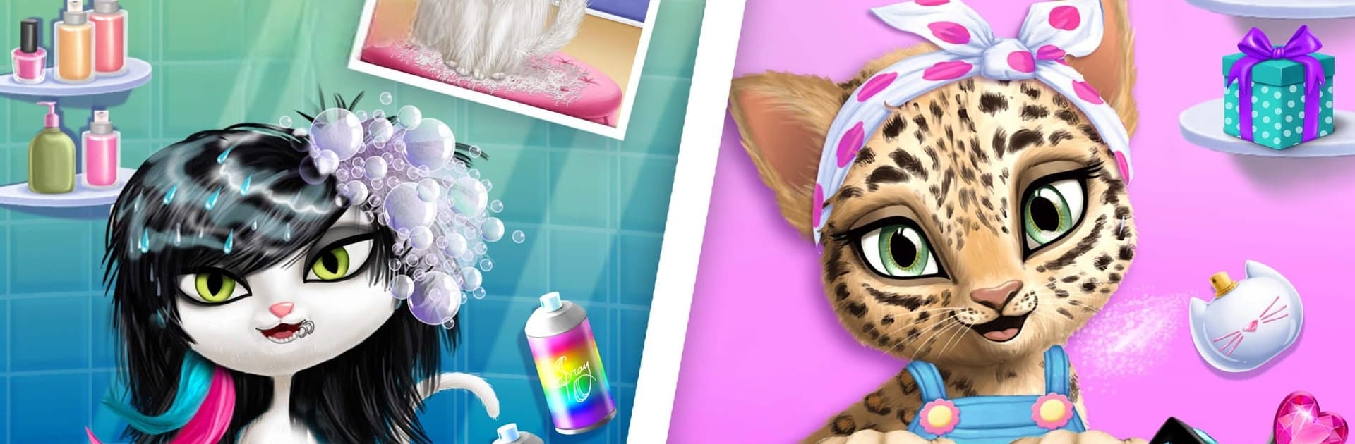 Cat Hair Salon Birthday Party - Virtual Kitty Care