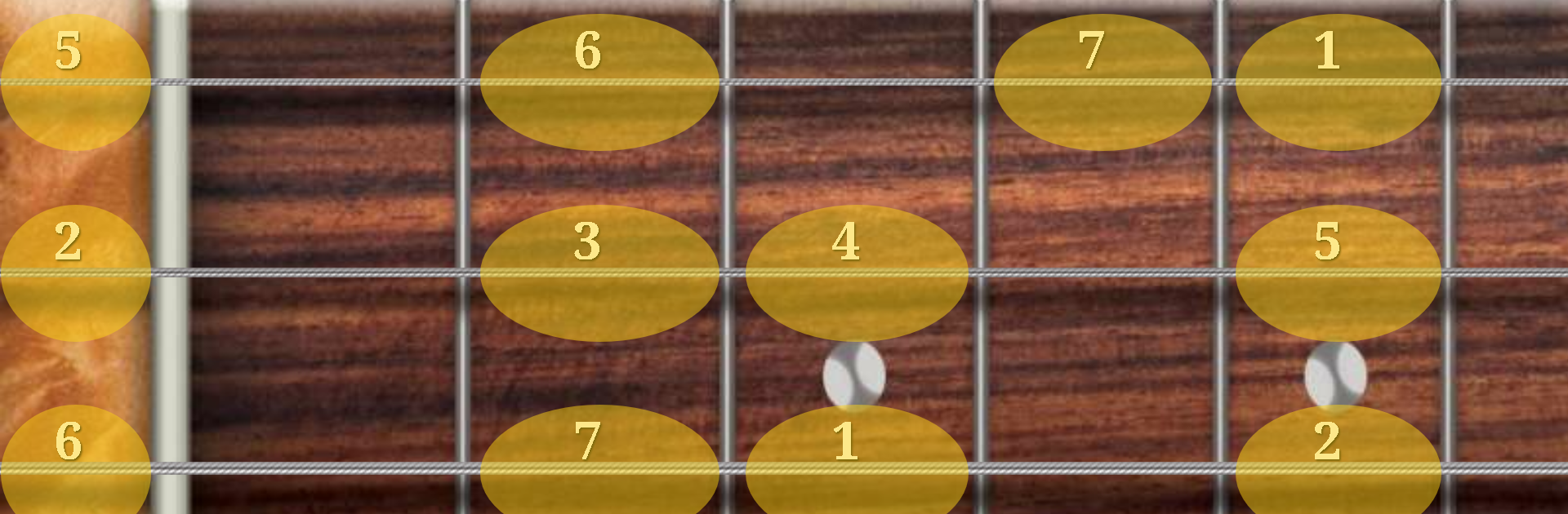 Bass Guitar Tutor Free