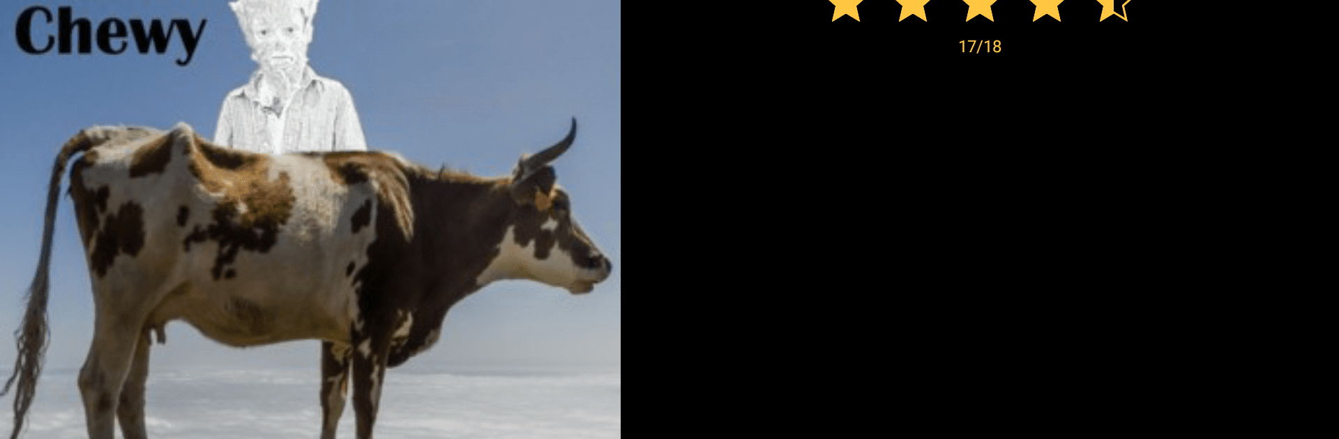 MediaMonkey Pro