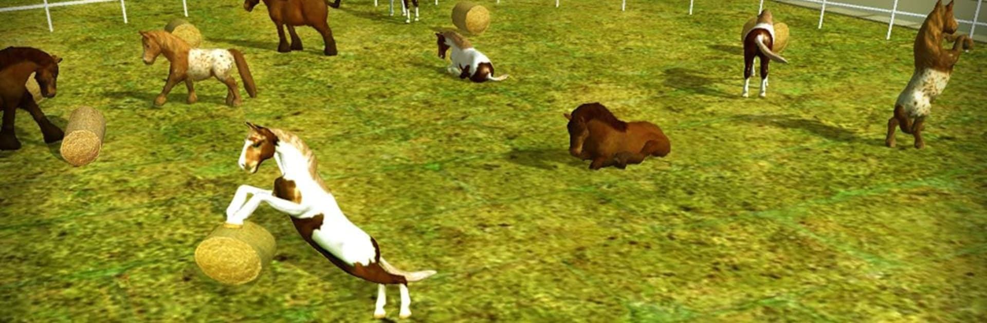Wild Horse Zoo Transport Truck Simulator Game 2018