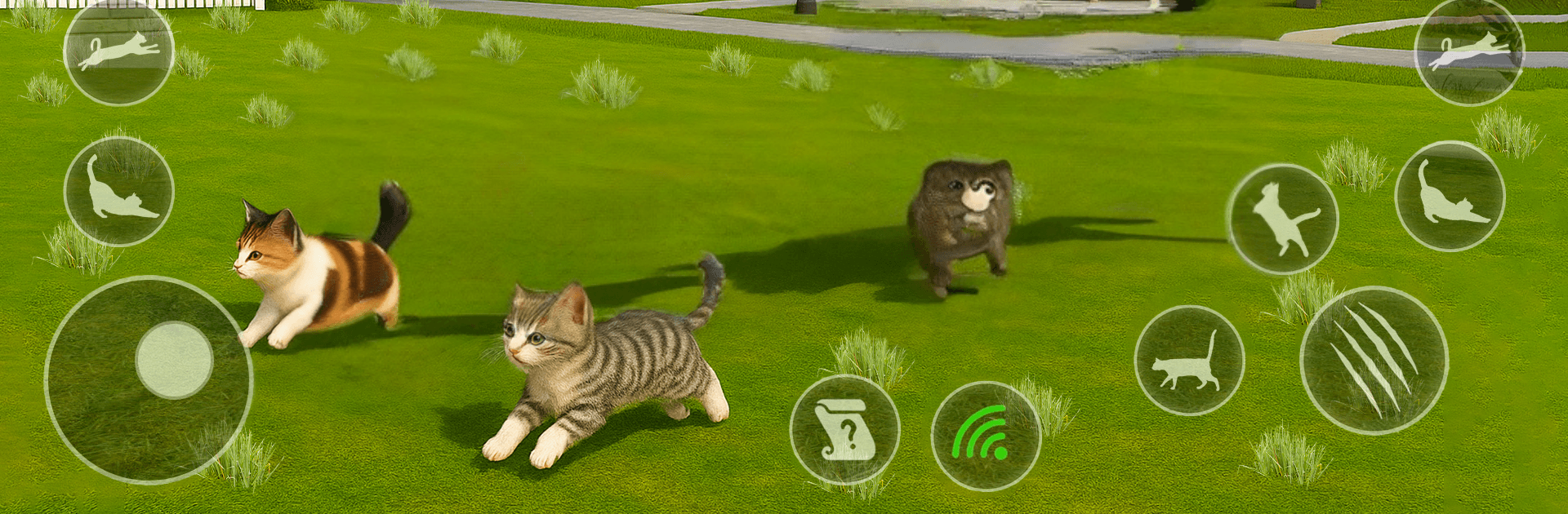 Kedi simülatörü oyunu