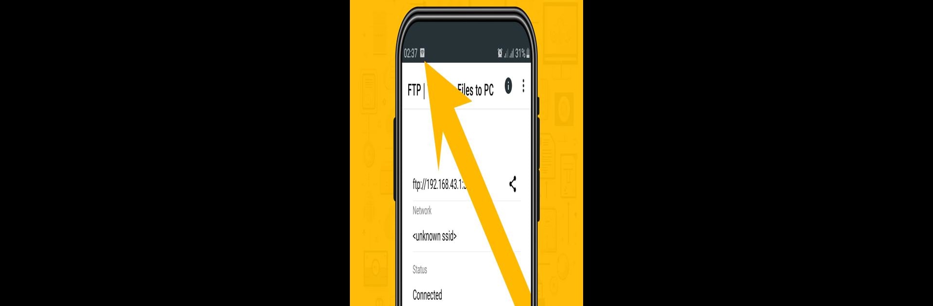 FTP | Transfer Files to PC
