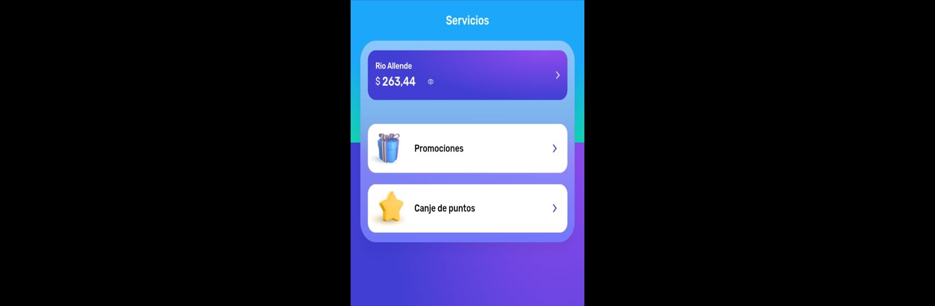 Rio Wallet