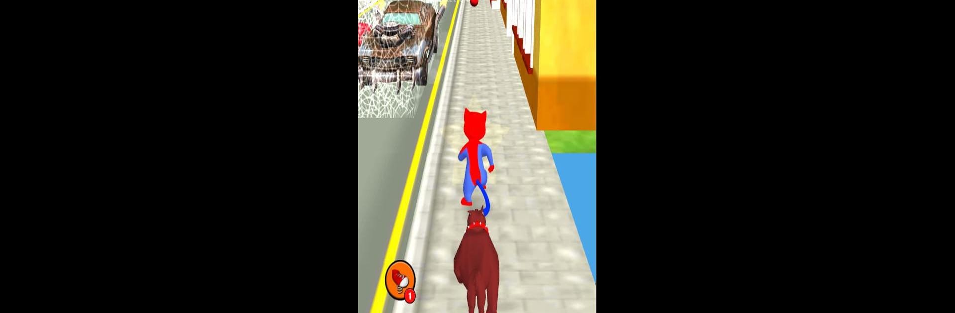 Super Hero Cat Run