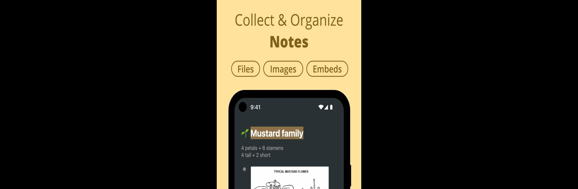 Workflowy |Note, List, Outline