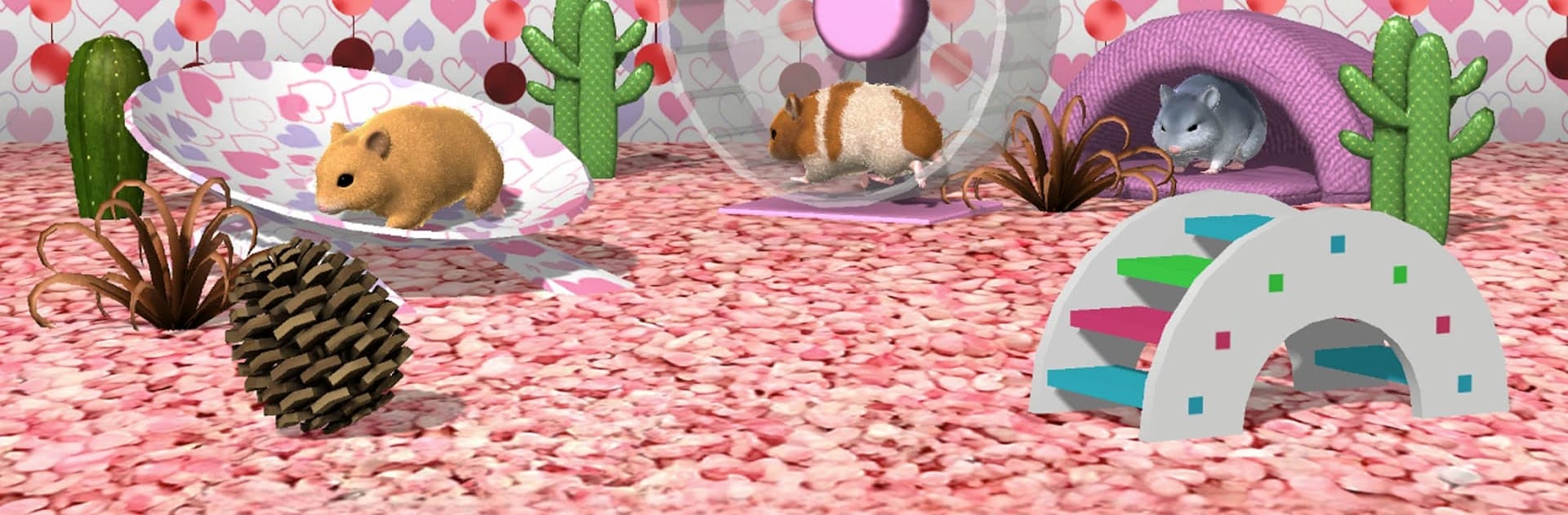Play with your hamster